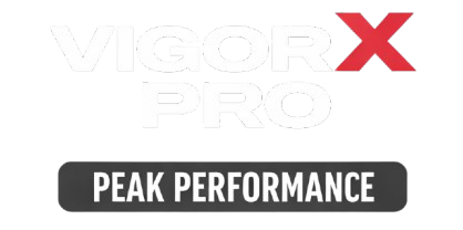 VigorX Pro Logo